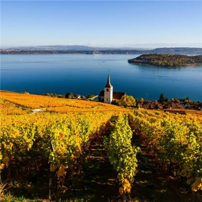 电子游戏bbin官方