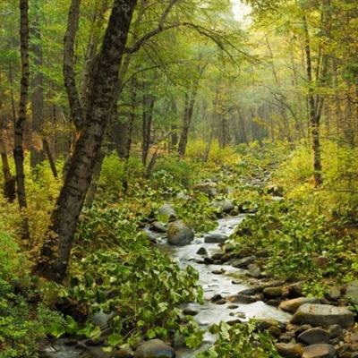 新天地棋牌手机app下载