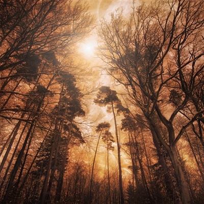 半岛官方下载地址