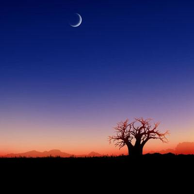 欧意在线登录-登录入口
