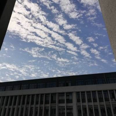 乐发彩票APP下载下载手机版