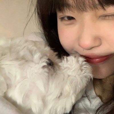 ayx在线登录入口手机app下载